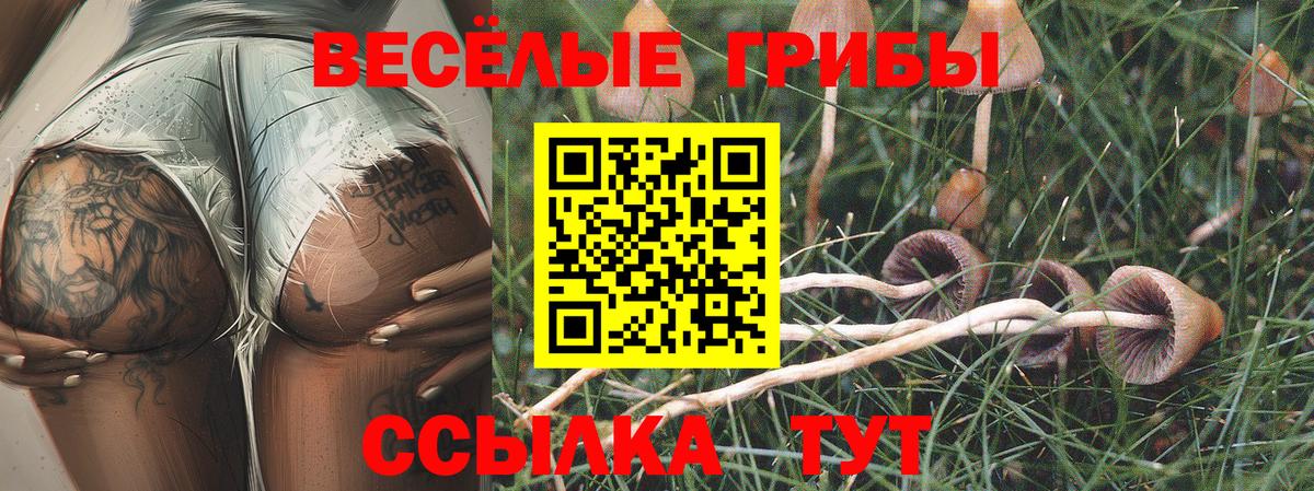 Псилоцибиновые грибы Cubensis  Вход с VPN  Юрга  Галлюциногенные грибы мухоморы 